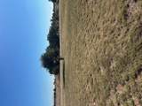1715 CR 251 County Road 251 Rds - Photo 7