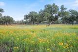 24900 Pedernales Canyon Trl - Photo 1