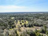 Lot 5 (2.74 Acres) Pauline Ln - Photo 11