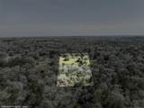 Lot 5 (2.74 Acres) Pauline Ln - Photo 12