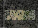 Lot 5 (2.74 Acres) Pauline Ln - Photo 2