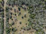 Lot 5 (2.74 Acres) Pauline Ln - Photo 7