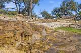 3516 Mount Sharp Rd - Photo 35