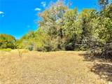 TBD 50.62 Acres Rabel Rd - Photo 15