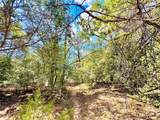 TBD 50.62 Acres Rabel Rd - Photo 17