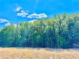 TBD 50.62 Acres Rabel Rd - Photo 19