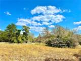 TBD 50.62 Acres Rabel Rd - Photo 20