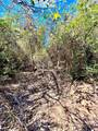 TBD 50.62 Acres Rabel Rd - Photo 7
