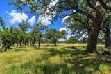 Lot 88 Stock Pond Dr - Photo 1
