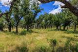Lot 88 Stock Pond Dr - Photo 12