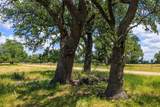 Lot 88 Stock Pond Dr - Photo 7