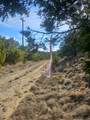 8118 Foothill Cv - Photo 4