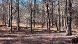 TBD Lytton Ln - Photo 4