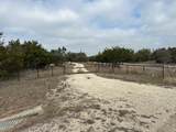 1900 County Road 284 - Photo 1