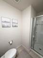 3137 Mountain Mint - Photo 9