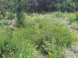 2013 Hilliard Rd - Photo 13