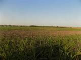 0 Krause Rd - Photo 5