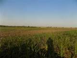 0 Krause Rd - Photo 6