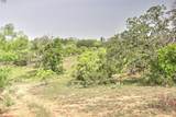 0 Farm To Market - Photo 12