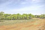 0 Farm To Market - Photo 3