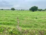 5.556 acres Farris Lane Ln - Photo 3