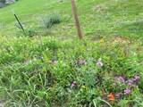5.556 acres Farris Lane Ln - Photo 4