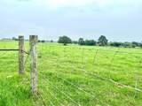 5.556 acres Farris Lane Ln - Photo 6