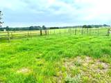 5.556 acres Farris Lane Ln - Photo 9