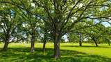 8770 Lee Ln - Photo 20
