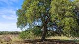 6590 Us 290 - Photo 11