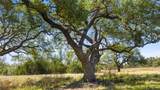 6590 Us 290 - Photo 16