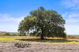6590 Us 290 - Photo 5