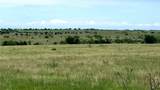 TBD County Road 963 - Photo 3