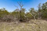 1398 Lazy Forest Frst - Photo 17