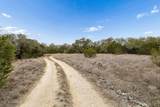 1398 Lazy Forest Frst - Photo 23