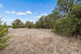 1398 Lazy Forest Frst - Photo 24