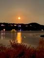 17803 Moon Rise Cv - Photo 10