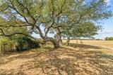 1408 State Park Rd - Photo 3