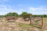 305 Blue Quail St - Photo 32