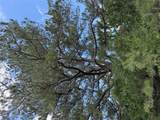 1749 Fm 535 - Photo 2