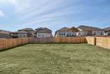 113 Meadow Beauty Ln - Photo 33