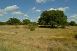 Lot 407 Palomino Springs - Photo 1