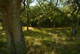 Lot 407 Palomino Springs - Photo 4