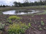 805 County Road 467 - Photo 6