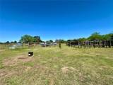 924 Hwy 95 - Photo 15
