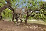 3657 Ranch Road 3232 - Photo 28