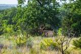 3021 Farm To Market 1689 - Photo 20