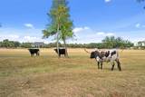 2700 County Road 282 Rd - Photo 39