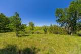TBD County Road 180 Covered Meadows Ranch Rd - Photo 20