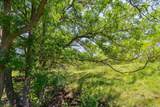 TBD County Road 180 Covered Meadows Ranch Rd - Photo 5